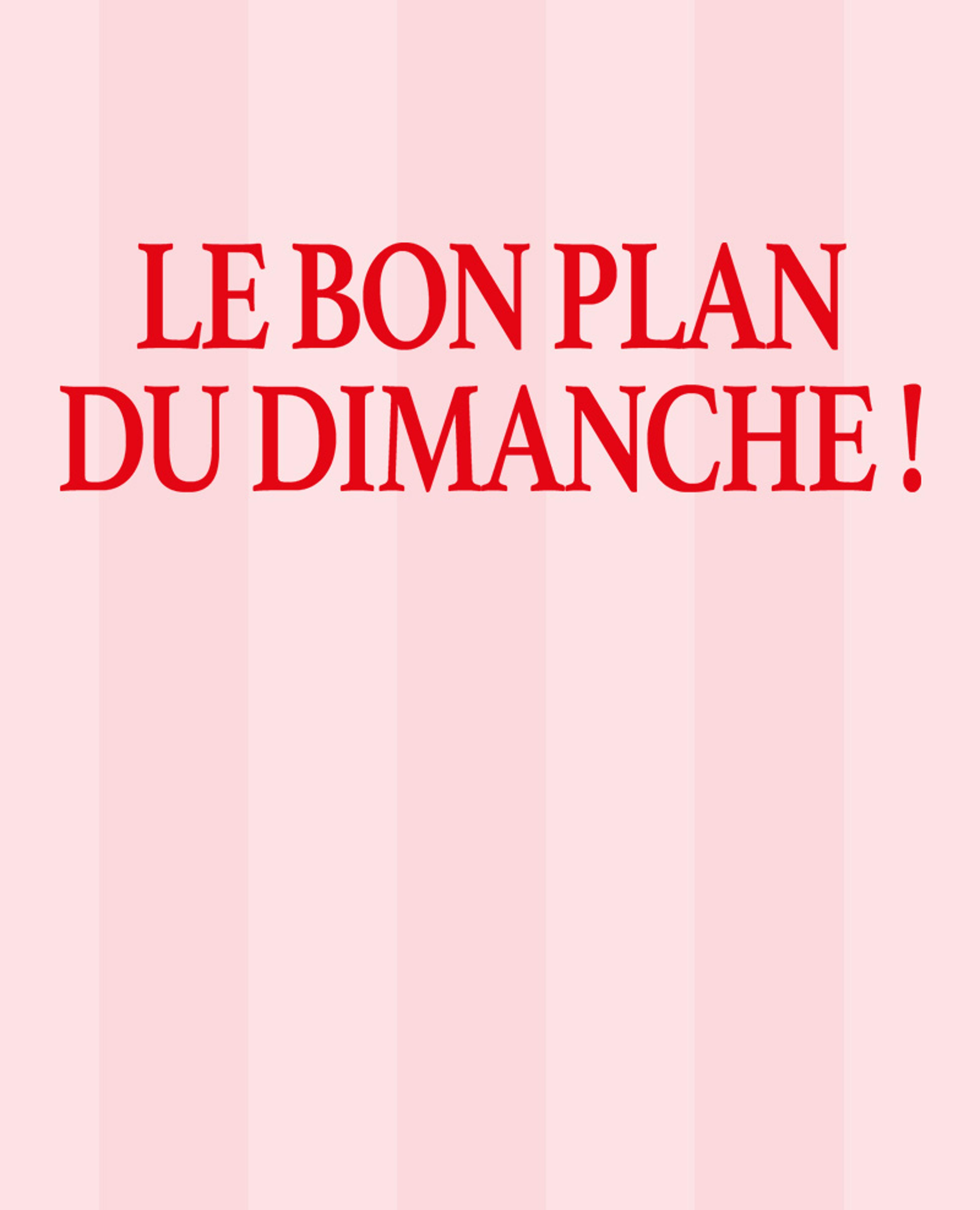 -50%  sur Raphia Like & Macramé
